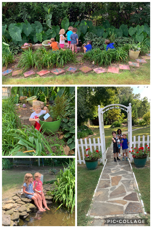 Garden Fun 
