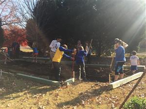 Garden Project 